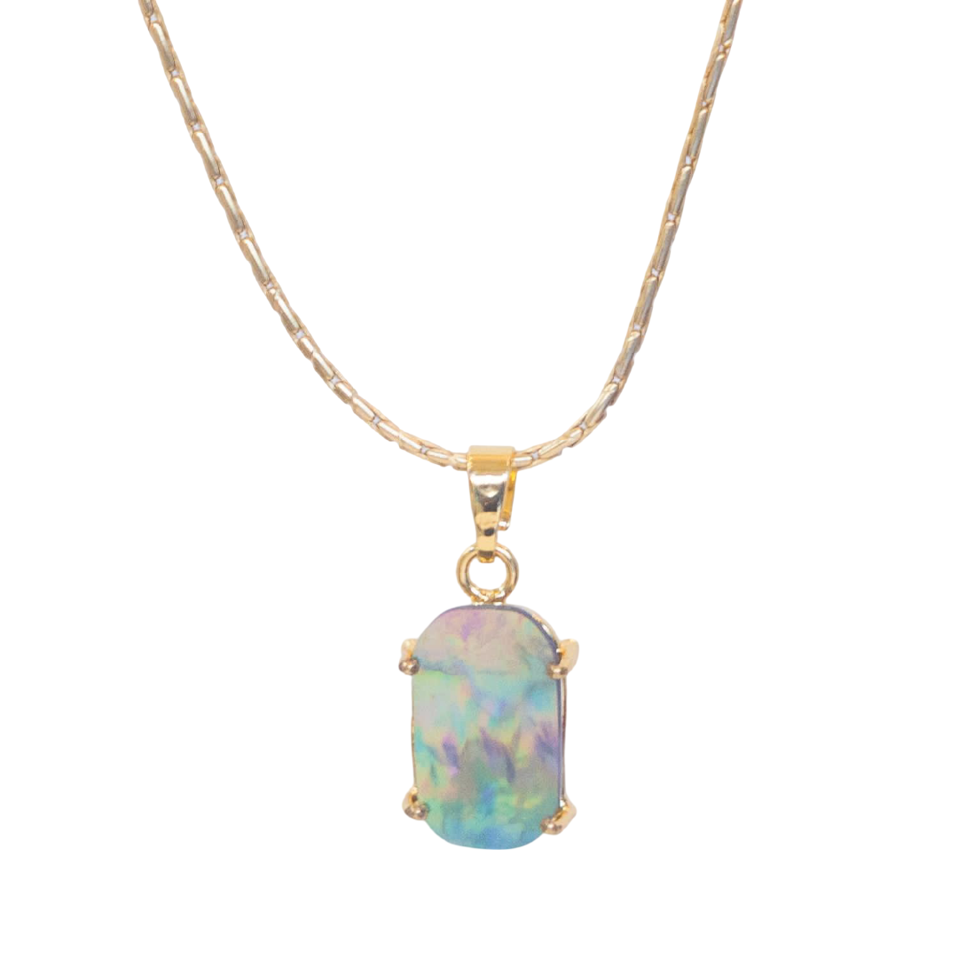 Vinni Pendant & 18 Inch Chain (Abalone Shell Claw)