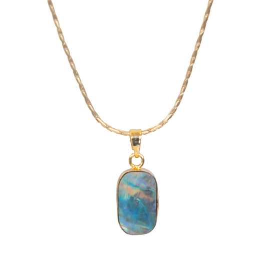 Vinni Pendant & 18 Inch Chain (Abalone Shell Collar)